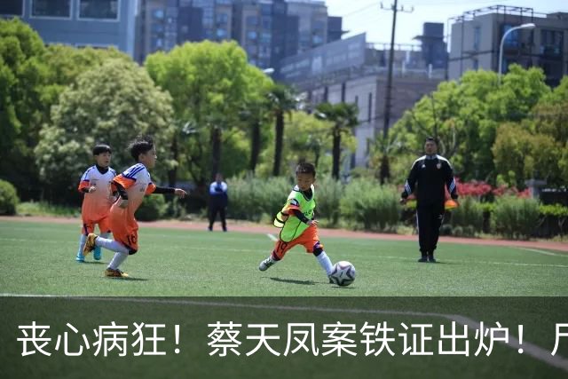 丧心病狂！蔡天凤案铁证出炉！尸体装俩箱子，躯干双手至今无踪影