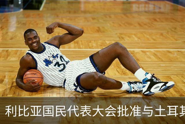 利比亚国民代表大会批准与土耳其海域划界协议，欧盟和希腊表达反对