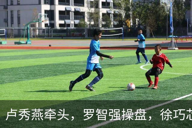 卢秀燕牵头，罗智强操盘，徐巧芯执行，蒋万安组建国民党最强战队