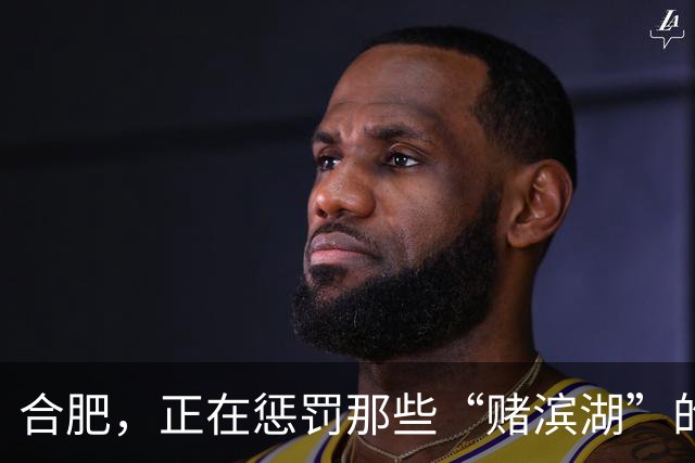 合肥，正在惩罚那些“赌滨湖”的人