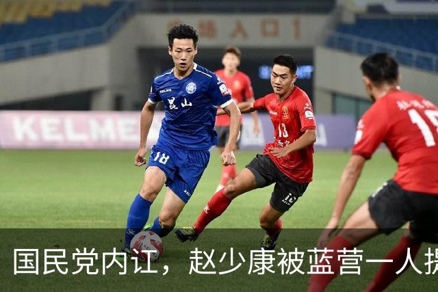 国民党内讧，赵少康被蓝营一人提请开除党籍，郑丽文反应亮了