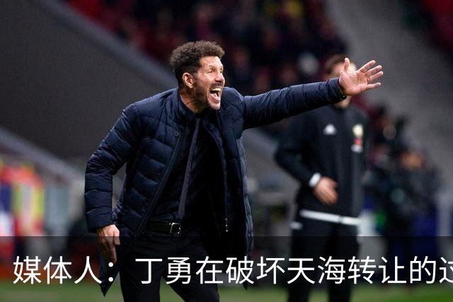 媒体人：丁勇在破坏天海转让的过程中曾拉刘奕下水