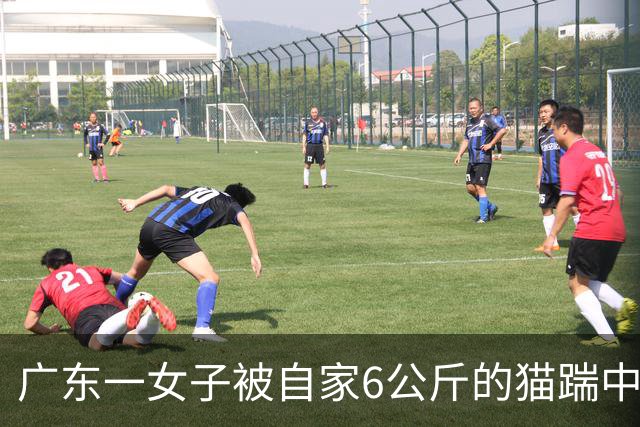 广东一女子被自家6公斤的猫踹中腹部，凌晨疼醒后被送医急救！医生提醒→