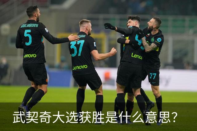 武契奇大选获胜是什么意思？