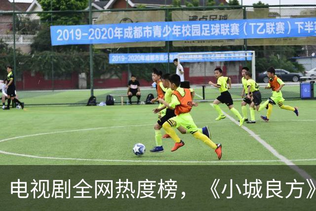 电视剧全网热度榜，《小城良方》跌至第二，第一热度高达74.99