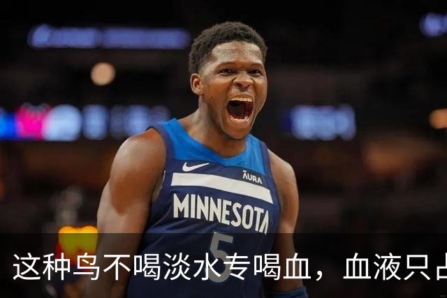 这种鸟不喝淡水专喝血，血液只占食谱十分之一