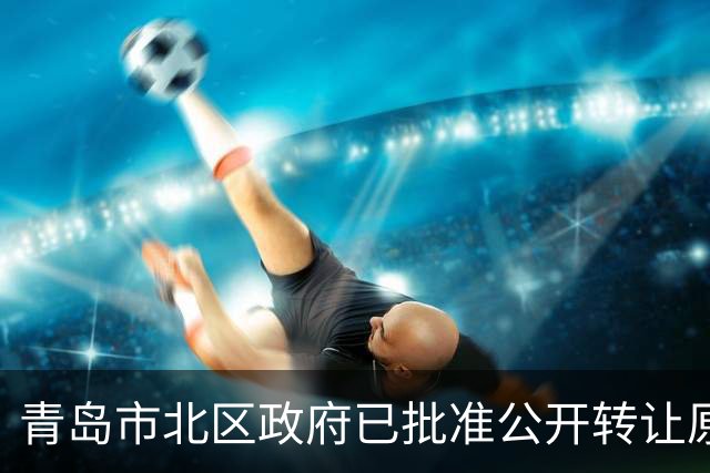 青岛市北区政府已批准公开转让原东方贸易大厦，标的地上14层建面超3万㎡，目前已被环海湾文旅集团抵押给银行